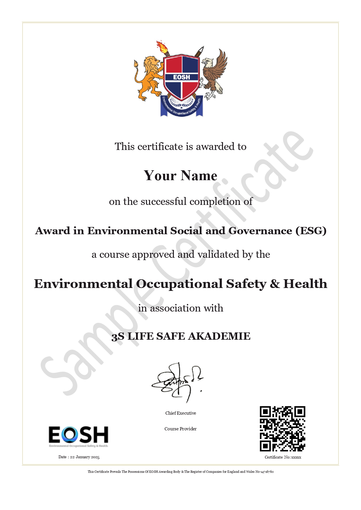 Sample ESG Certificate - 3S Life Safe Akademie